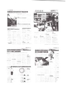 《足迹》2016 年刊 第 221 页